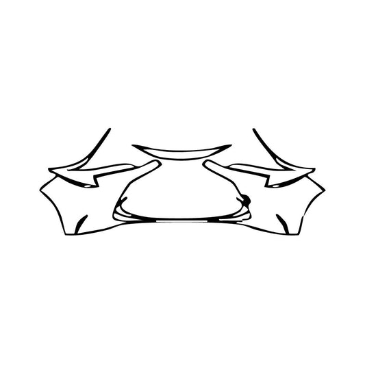 Pre-Cut PPF Toyota Levin 2019 - PPF-Kits