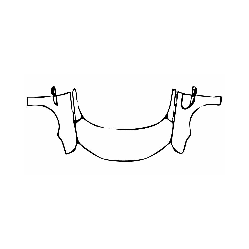 PPF prédécoupé Zeekr 009 Base 2025