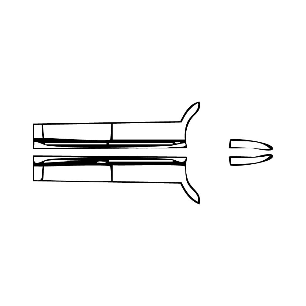 PPF prédécoupé Zeekr 009 Base 2025