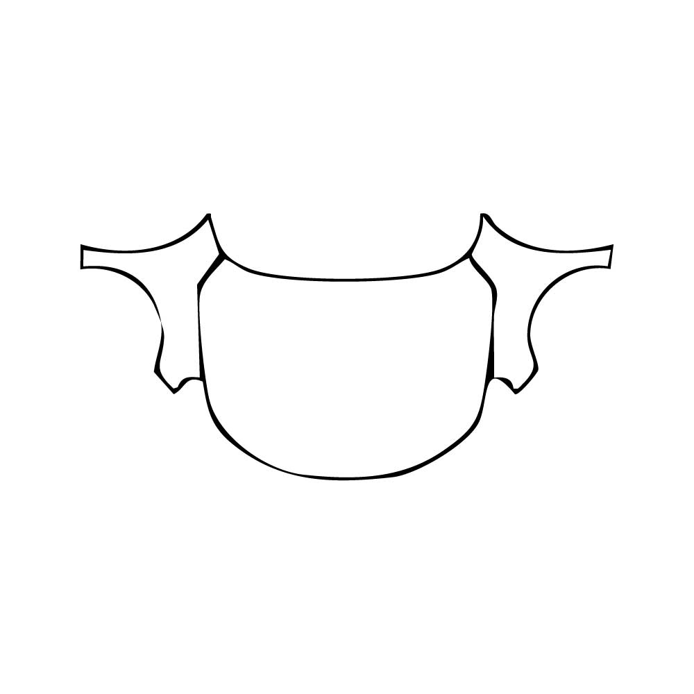 Pre-Cut PPF Honda Accord 2024 - PPF-Kits