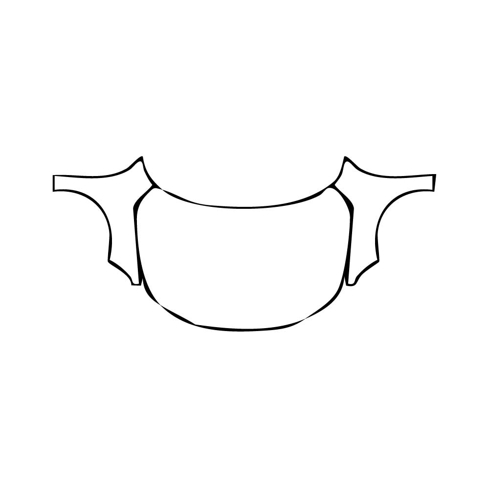 Pre-Cut PPF Honda Civic Hatchback Sport 2025 - PPF-Kits