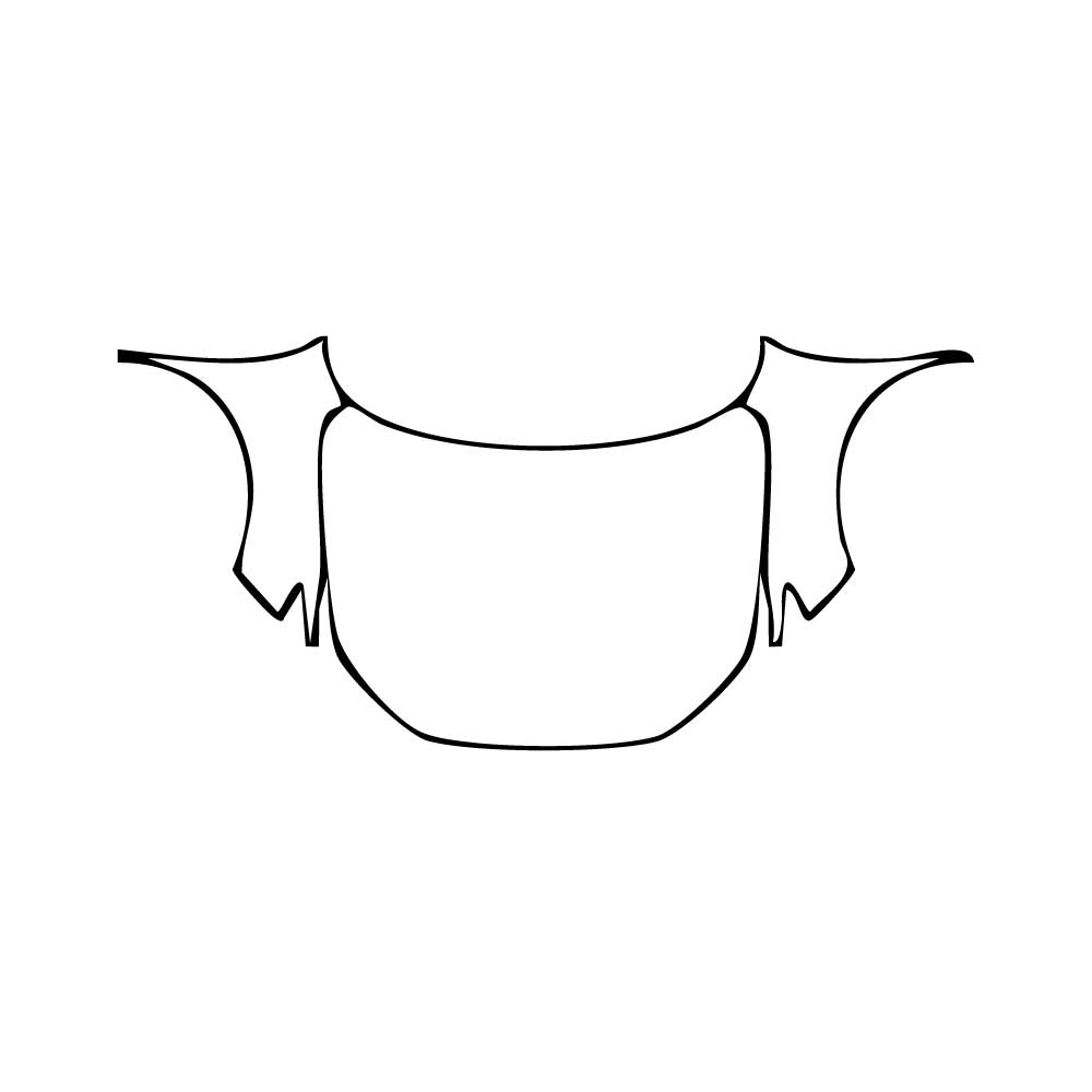 Pre-Cut PPF Honda CR-V 2024 - PPF-Kits