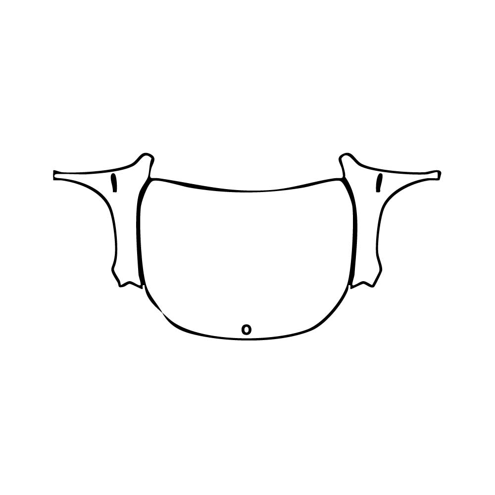 Pre-Cut PPF Mercedes-Benz GLB AMG GLB 35 2024 - PPF-Kits