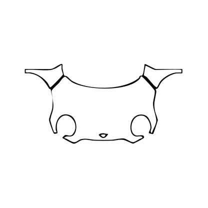 Pre-Cut PPF MINI MINI Hardtop 2 Door Cooper S Base 2024 - PPF-Kits