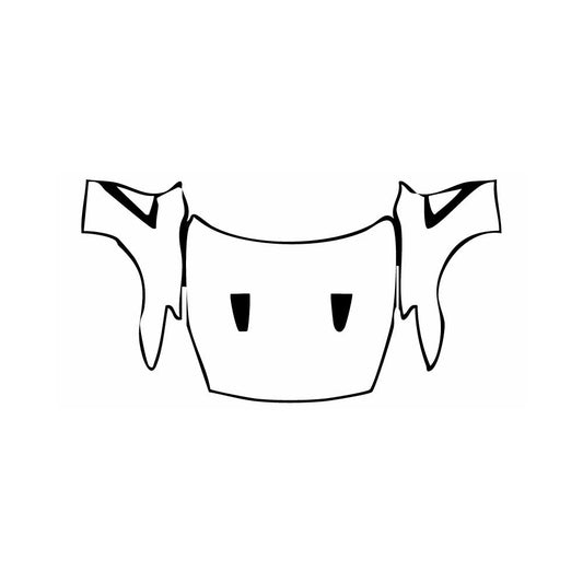 Pre-Cut PPF Nissan GT-R T-spec 2024 - PPF-Kits