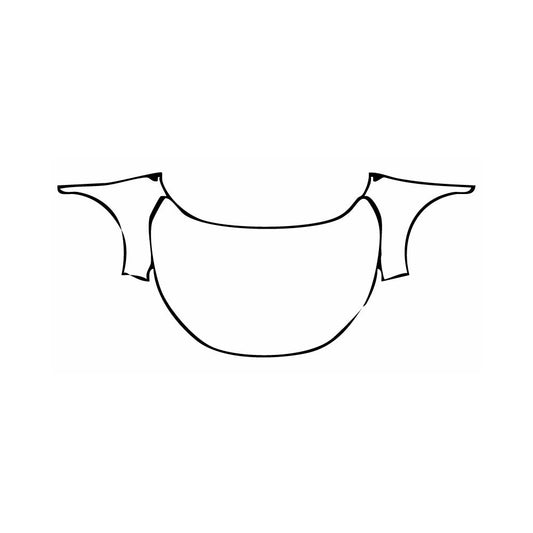 Pre-Cut PPF Nissan Qashqai (EU) Tekna+ 2024 - PPF-Kits