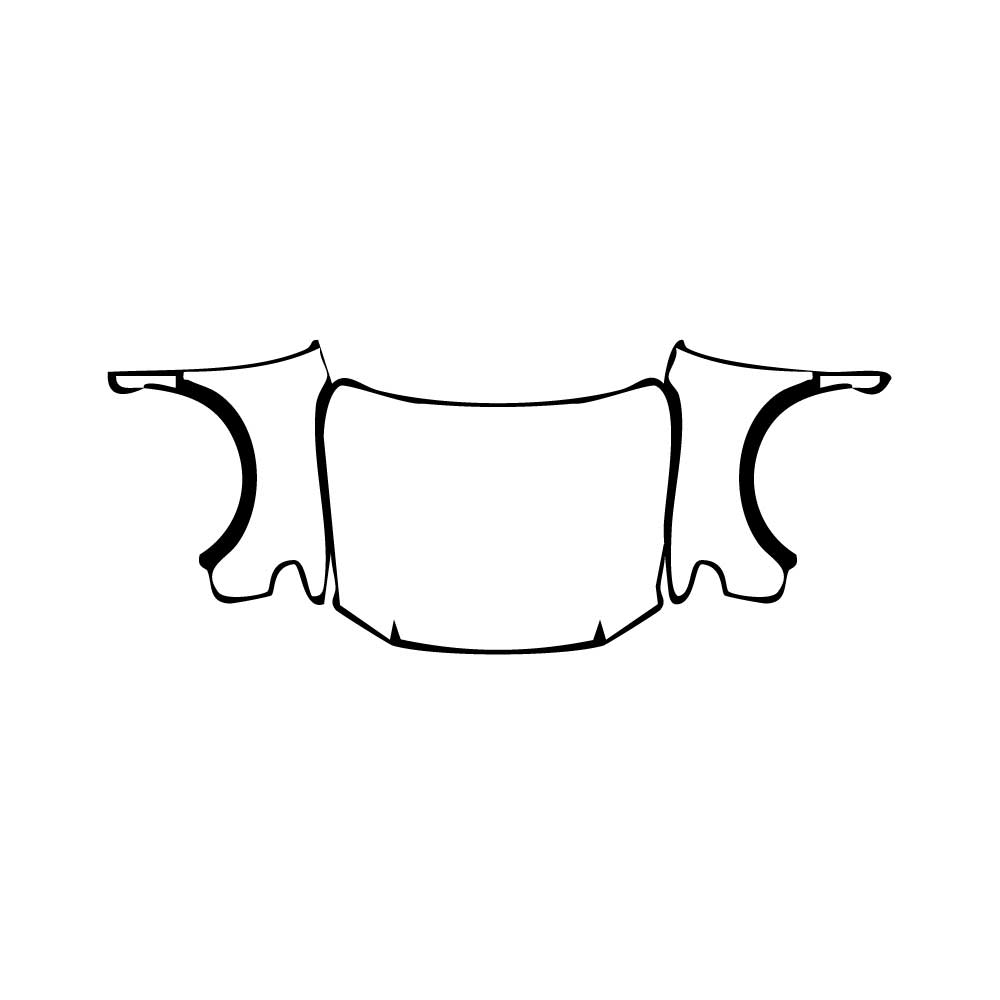 Pre-Cut PPF Toyota Century SUV 2025 - PPF-Kits