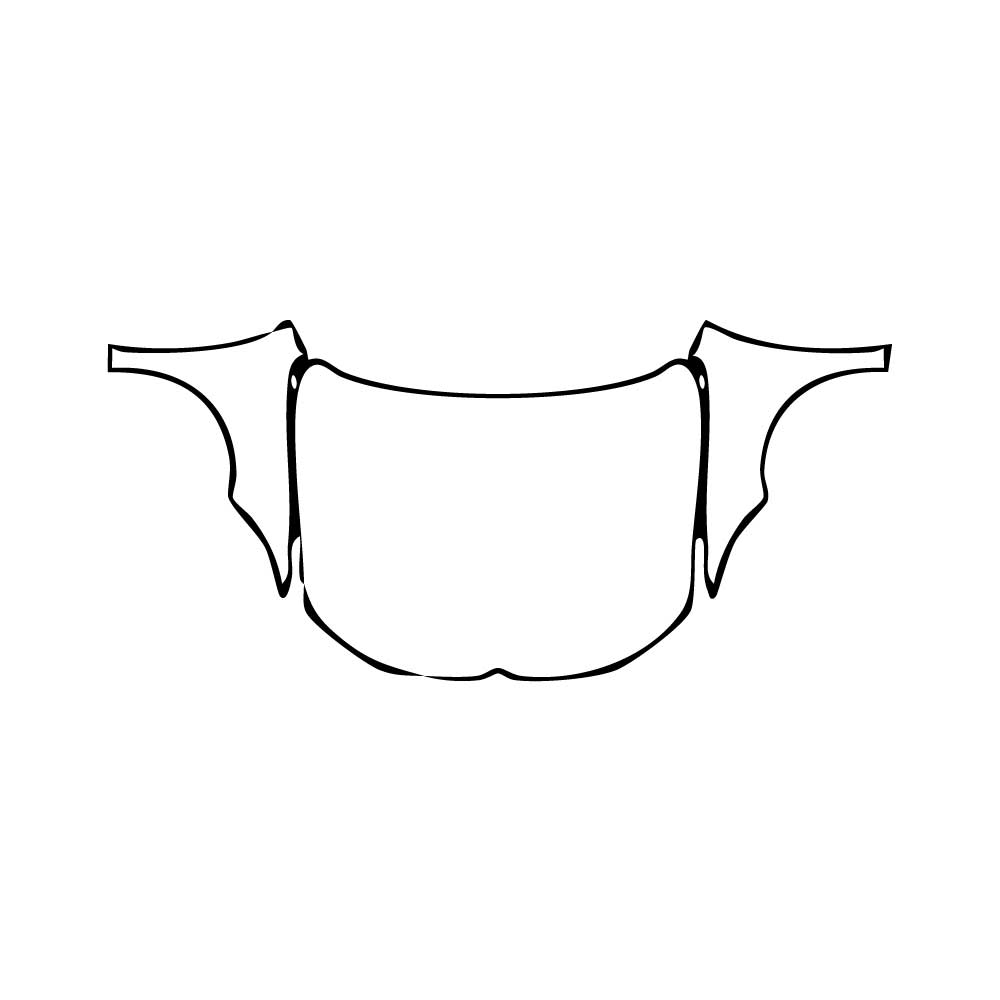 Pre-Cut PPF Volkswagen Passat Pro (CN) Base 2025 - PPF-Kits