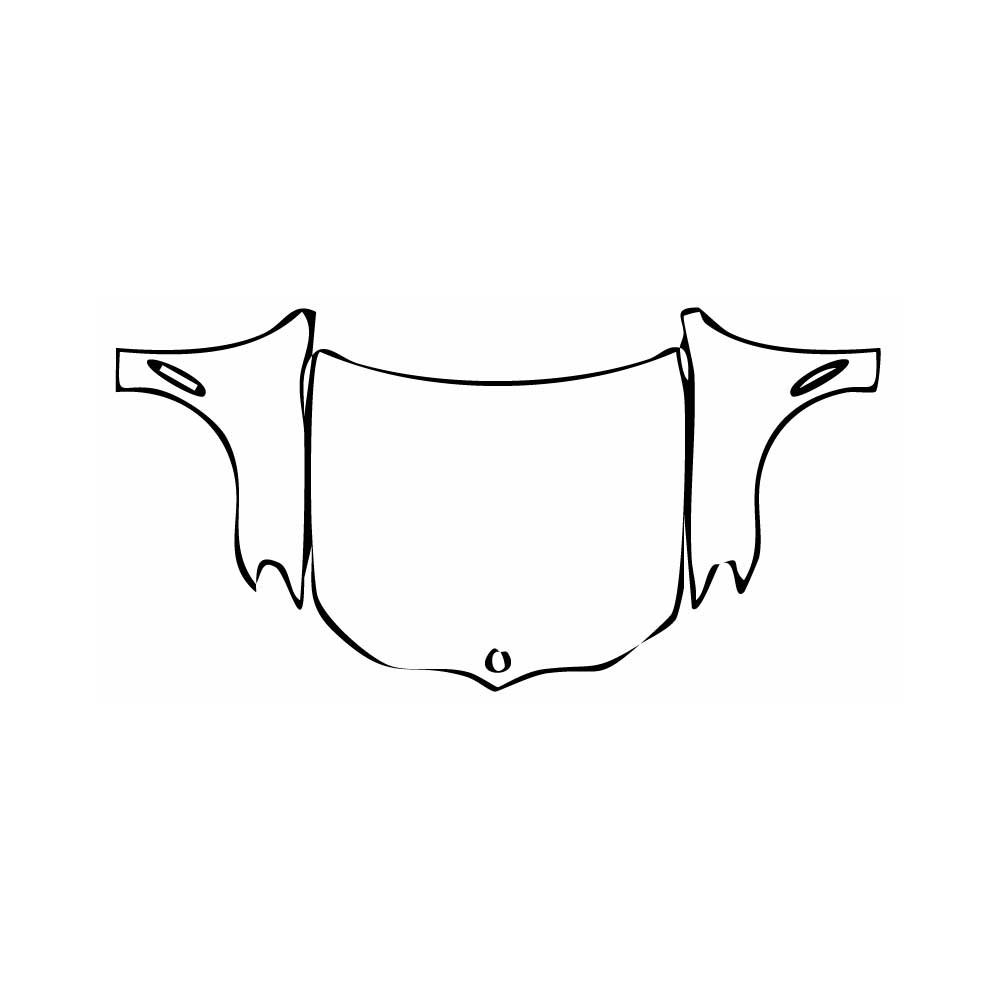 Pre-Cut PPF BMW X3 Standard Wheelbase xLine 2024 - PPF-Kits