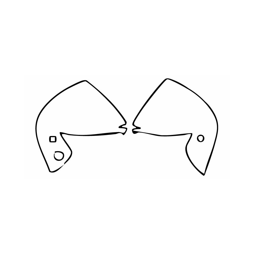 Pre-Cut PPF BYD Dolphin (EU LHD) Base 2024 - PPF-Kits