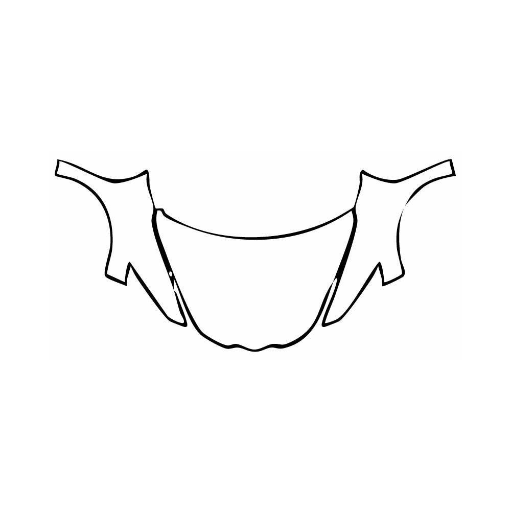 Pre-Cut PPF Chevrolet Corvette Z06 Coupe 2024 - PPF-Kits