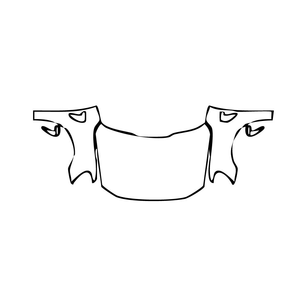 Pre-Cut PPF Ford F-150 SuperCrew XLT 2024 - PPF-Kits