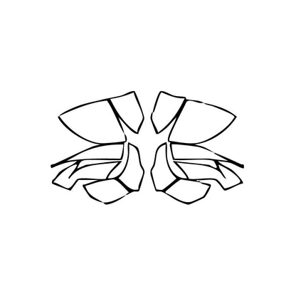 Pre-Cut PPF Lamborghini Revuelto 2024 - PPF-Kits