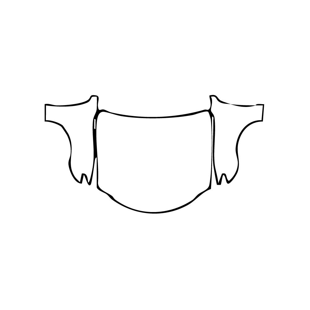 Pre-Cut PPF Lexus RC Base 2024 - PPF-Kits