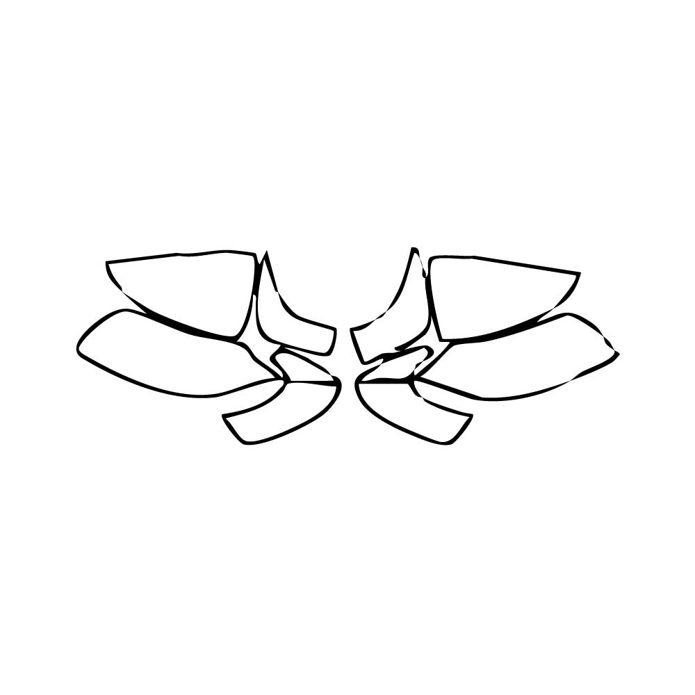 Pre-Cut PPF Lexus RCF 2024 - PPF-Kits