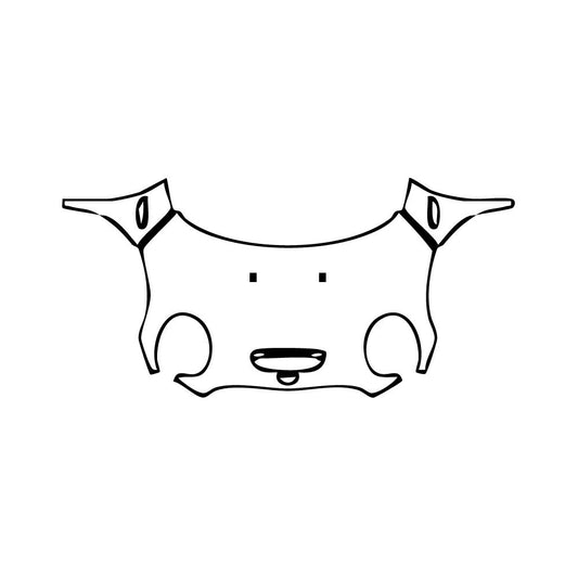 Pre-Cut PPF MINI MINI Convertible Cooper S Sport 2024 - PPF-Kits