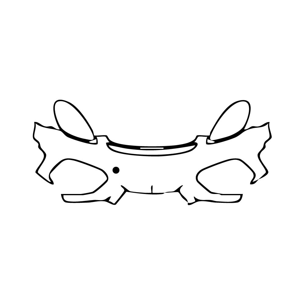 Pre-Cut PPF Porsche 718 Spyder RS 2024 - PPF-Kits