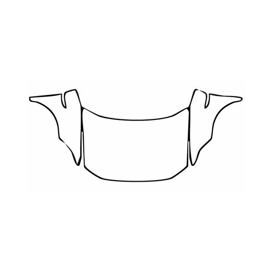 Pre-Cut PPF Volkswagen Tacqua R-line 2020 - PPF-Kits