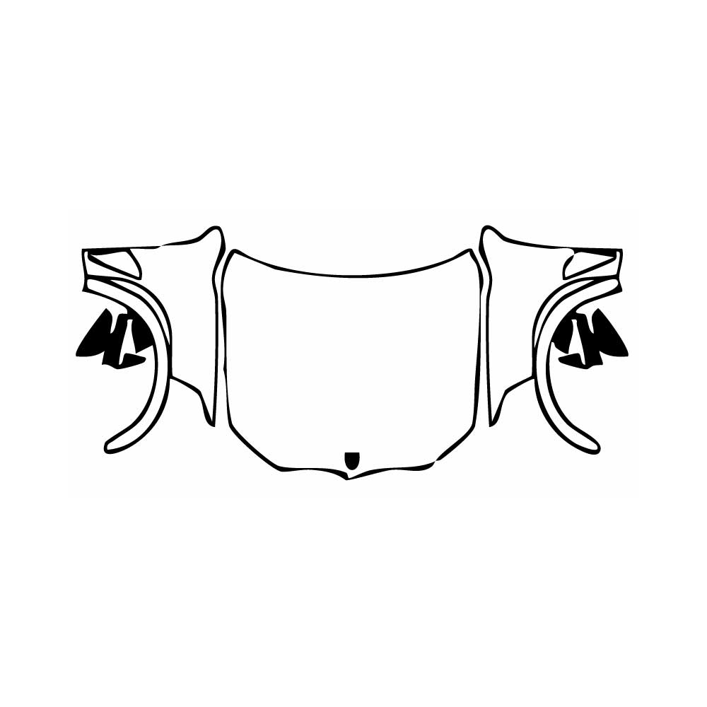 Pre-Cut PPF BMW X5 X5 M 2020 - PPF-Kits