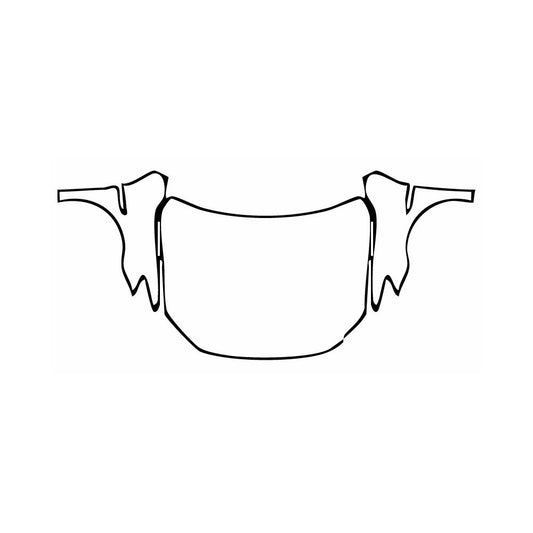 Pre-Cut PPF BYD Qin Pro New Energy 2018 - PPF-Kits