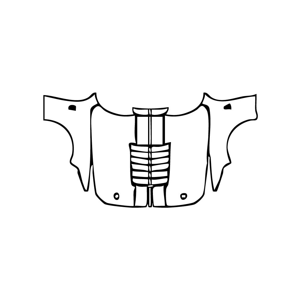 Pre-Cut PPF Ford Mustang Fastback ShelbyGT500 2021 - PPF-Kits