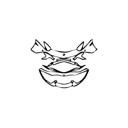 Pre-Cut PPF Lamborghini Aventador Avendator S Coupe 2017 - PPF-Kits