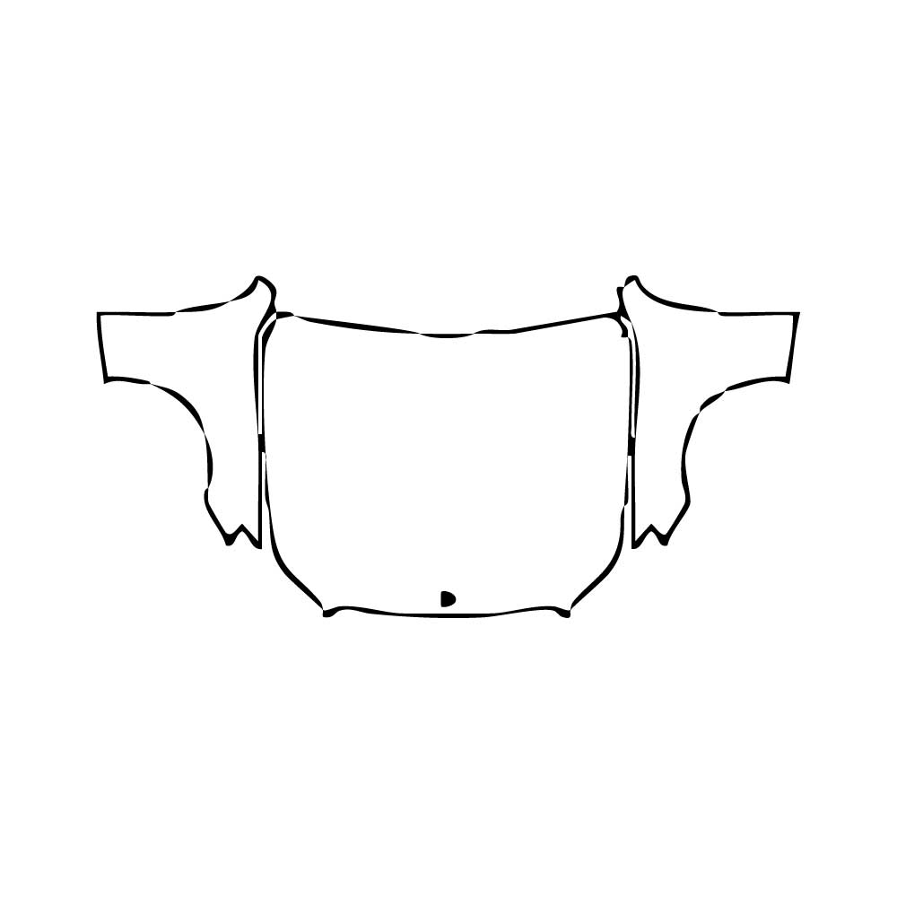 Pre-Cut PPF Mercedes-Benz E Class Sedan Luxury Extended Wheelbase 2017 - PPF-Kits