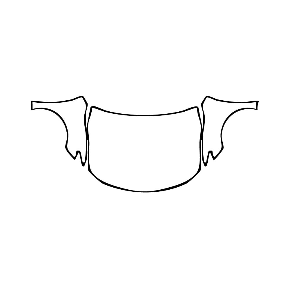 Pre-Cut PPF Toyota Camry (US) TRD 2021 - PPF-Kits