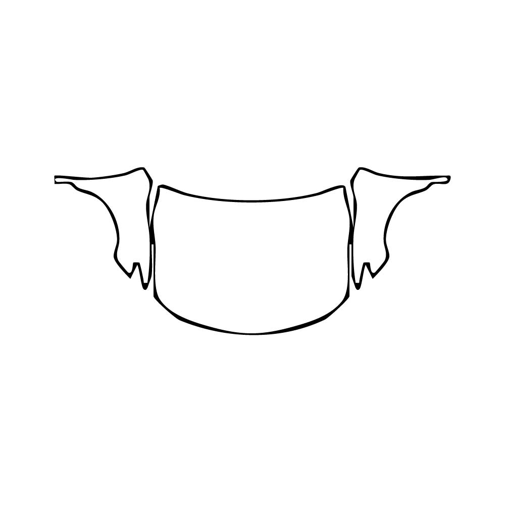 Pre-Cut PPF Toyota Camry (US) TRD 2021 - PPF-Kits