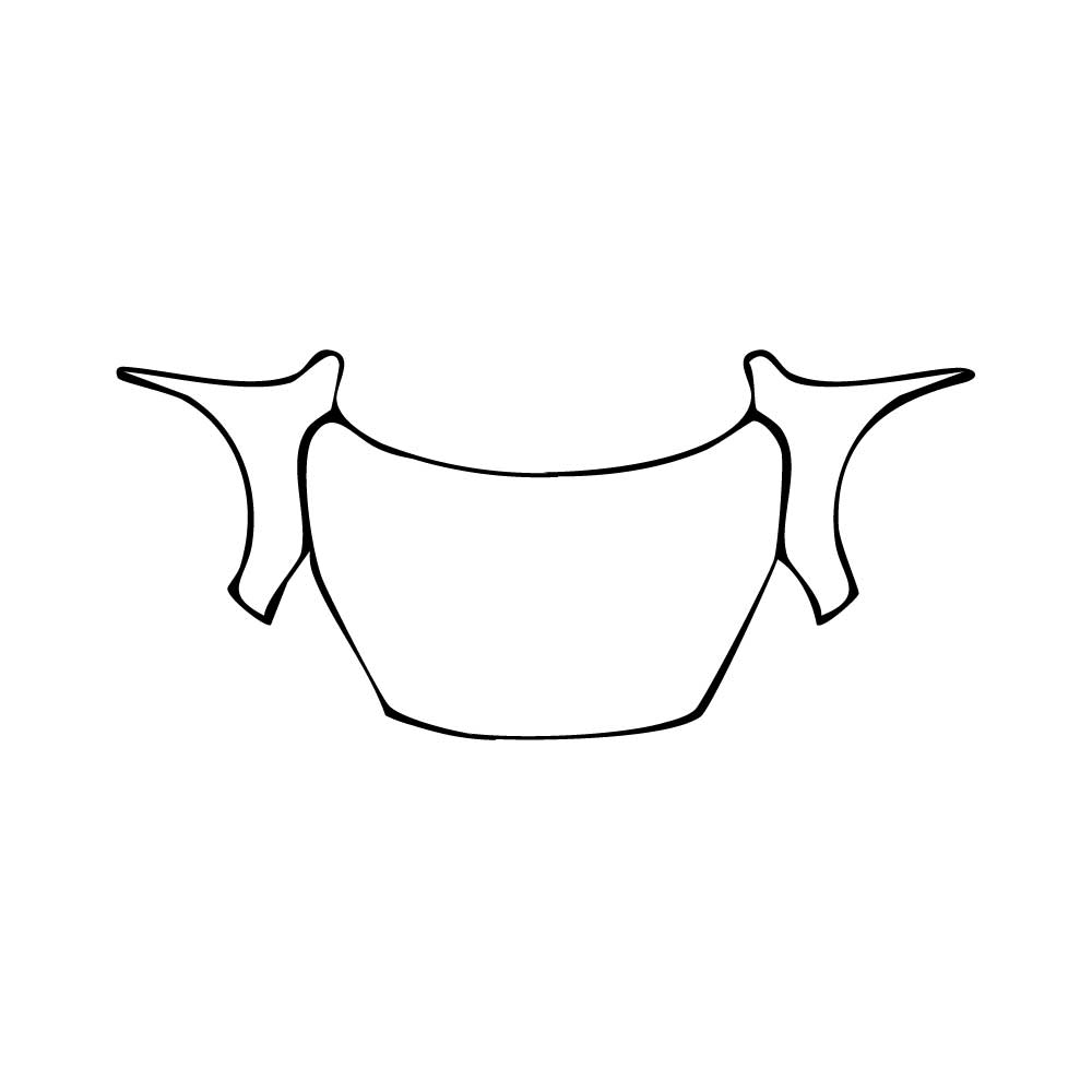 Pre-Cut PPF Ford Kuga Vignale 2020 - PPF-Kits