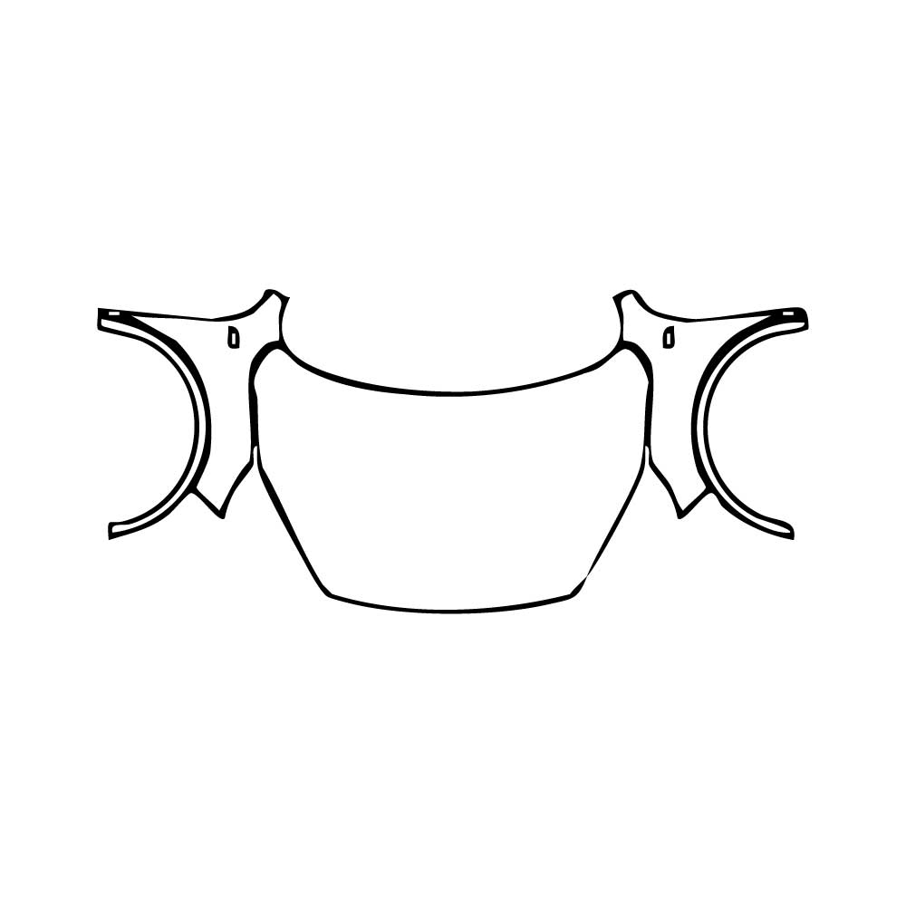 Pre-Cut PPF Ford Escape (CN) ST-Line 2020 - PPF-Kits