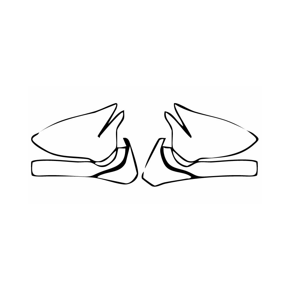 Pre-Cut PPF BMW 2 Series M2 Competition 2018 - PPF-Kits