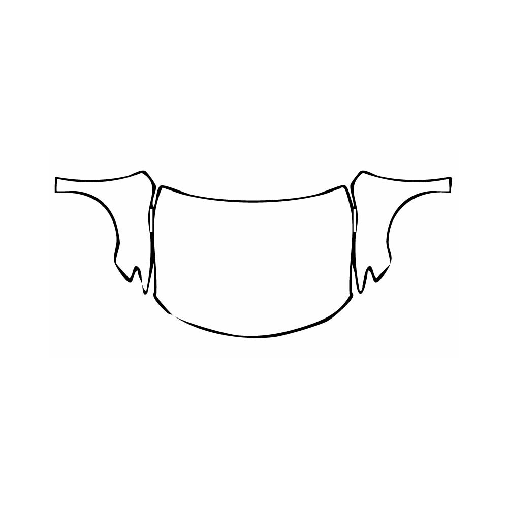 Pre-Cut PPF Toyota Camry (CN) Sport 2018 - PPF-Kits