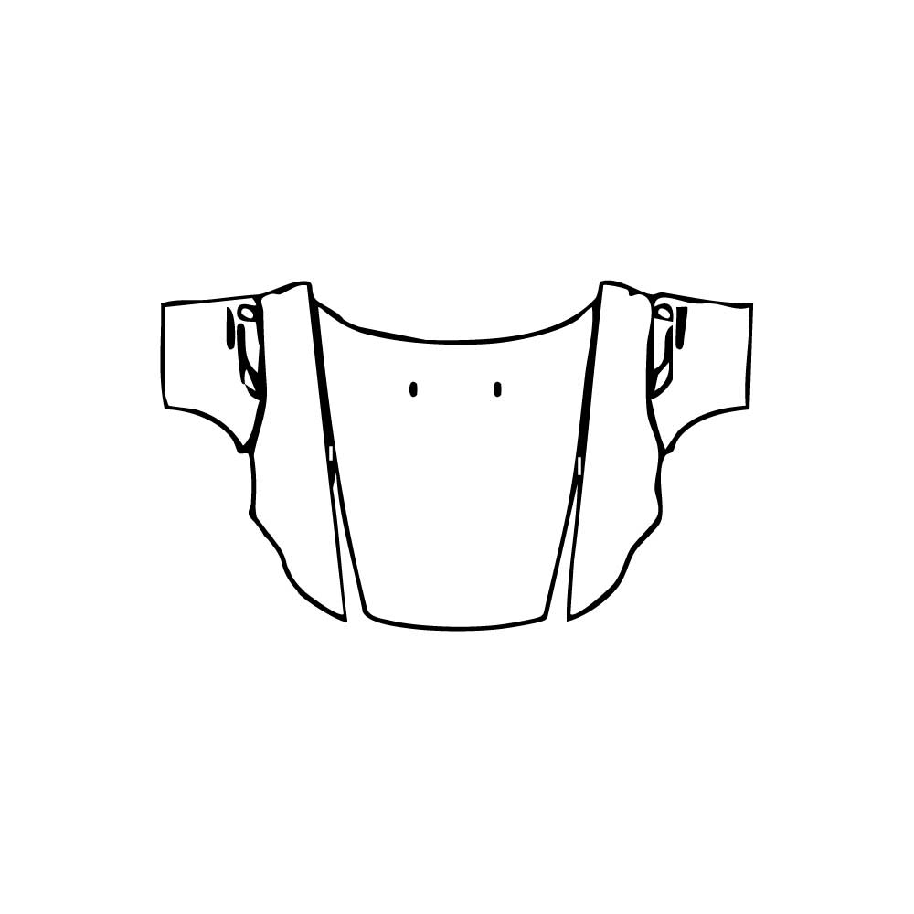 Pre-Cut PPF BMW Z4 Base 2009 - PPF-Kits