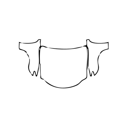 Pre-Cut PPF Lexus RC F-Sport 2015 - PPF-Kits