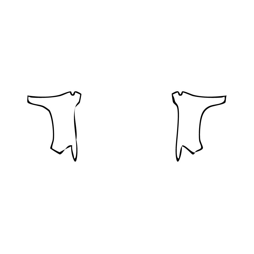 Pre-Cut PPF Toyota Land Cruiser V8 2016 - PPF-Kits