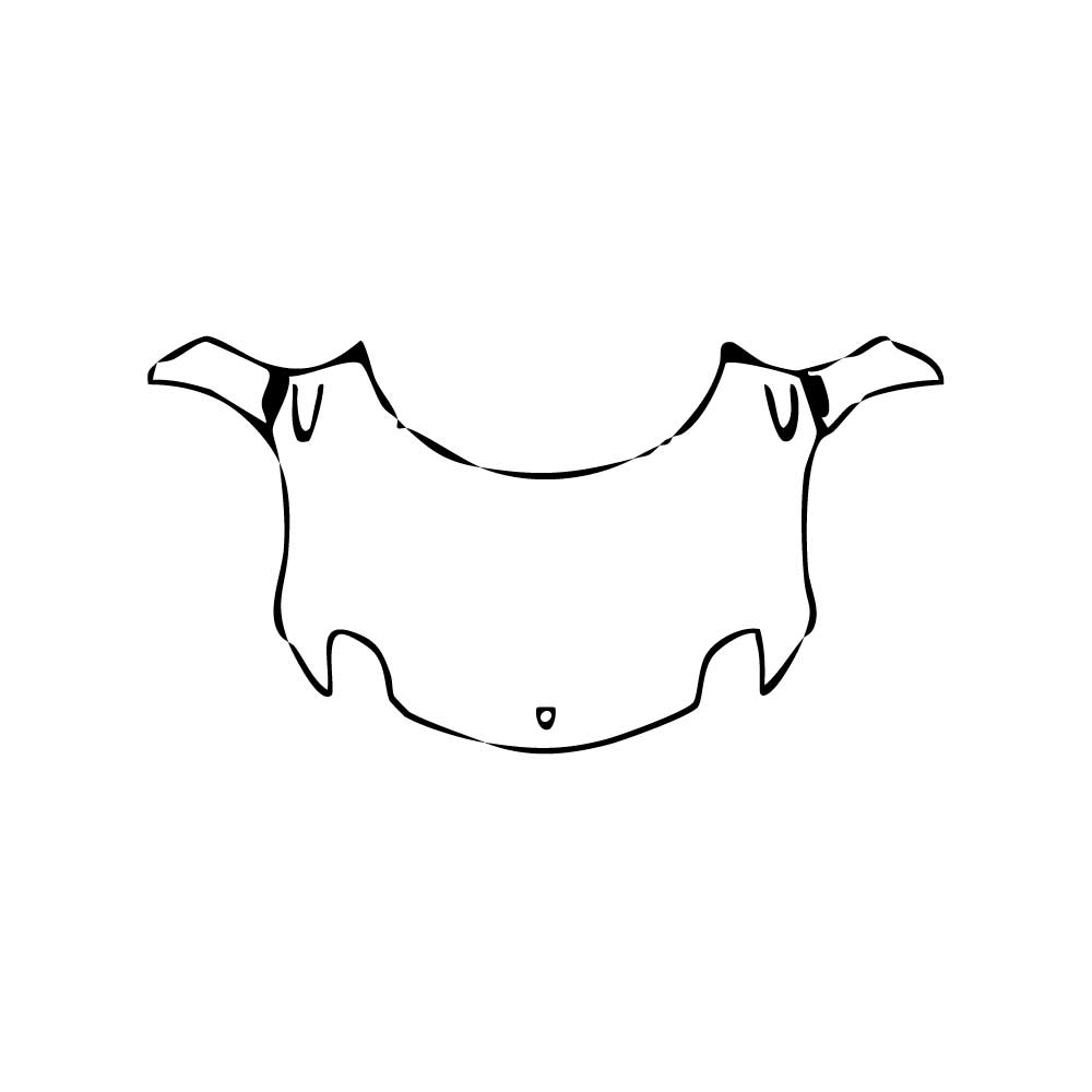 Pre-Cut PPF Porsche 918 Spyder 2013 - PPF-Kits