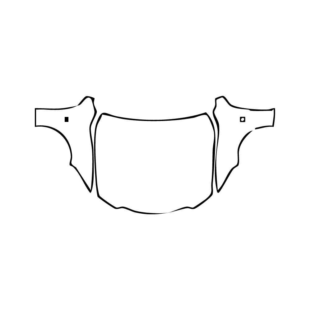 Pre-Cut PPF Lexus IS Sedan F-Sport 2025 - PPF-Kits