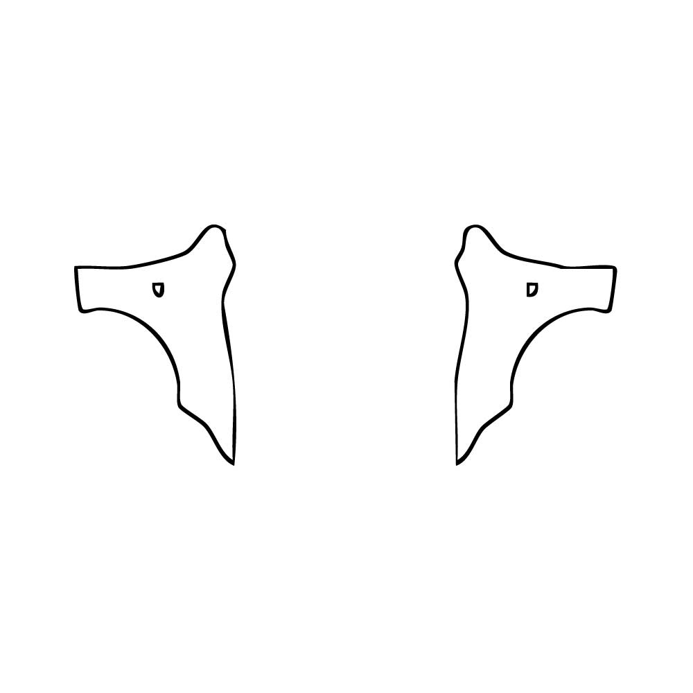 Pre-Cut PPF Lexus IS Sedan F-Sport 2025 - PPF-Kits