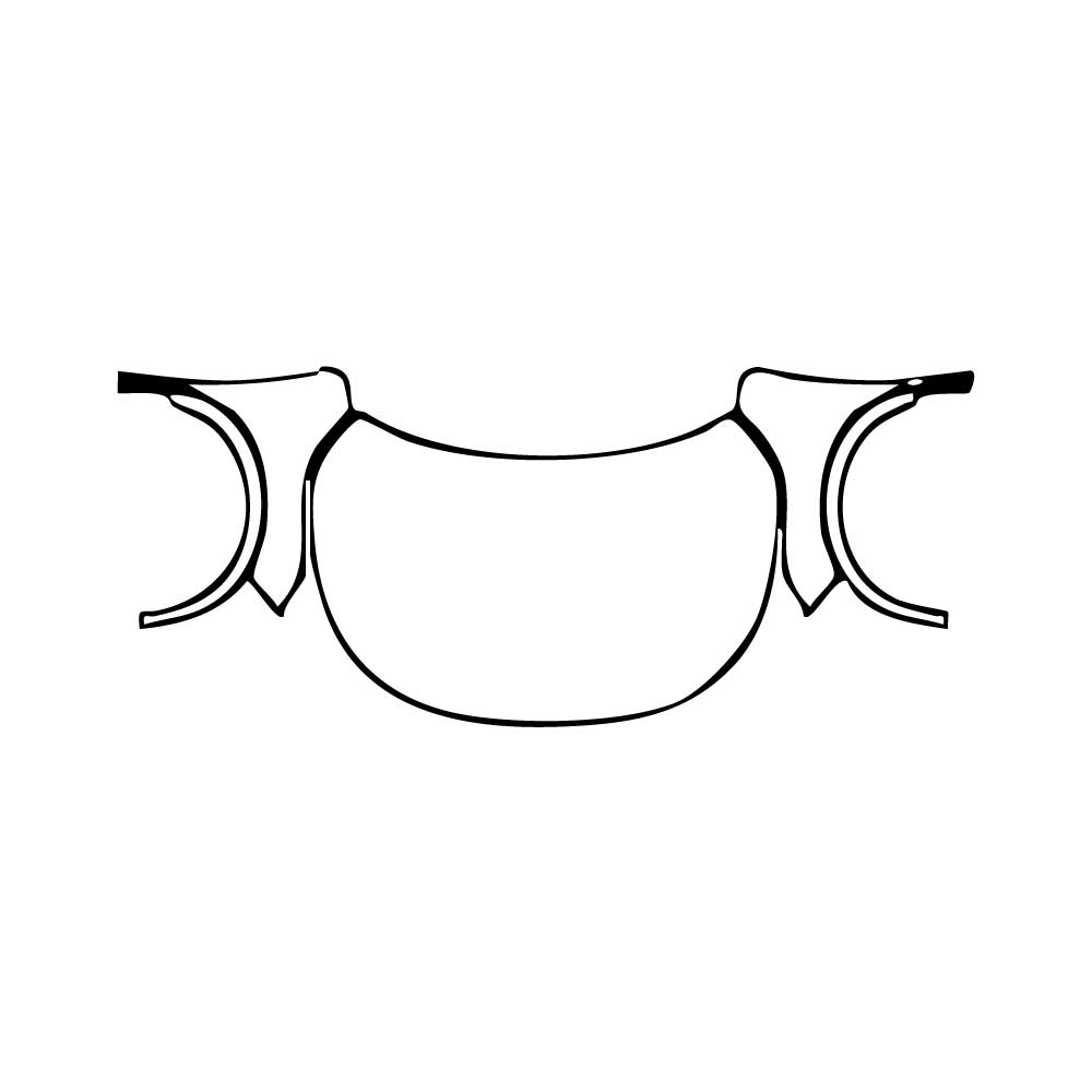 Pre-Cut PPF Lexus RX RX (SWB) Base 2025 - PPF-Kits