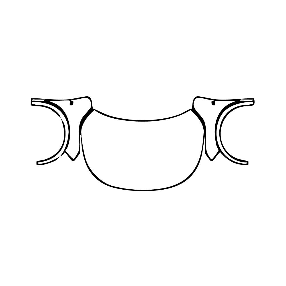 Pre-Cut PPF Lexus RX RX (SWB) F-Sport 2025 - PPF-Kits