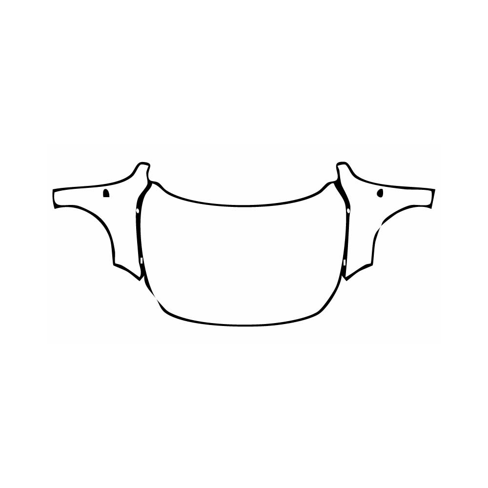 PPF prédécoupé BMW 1 Series 5-door Sports Hatch M135i 2025