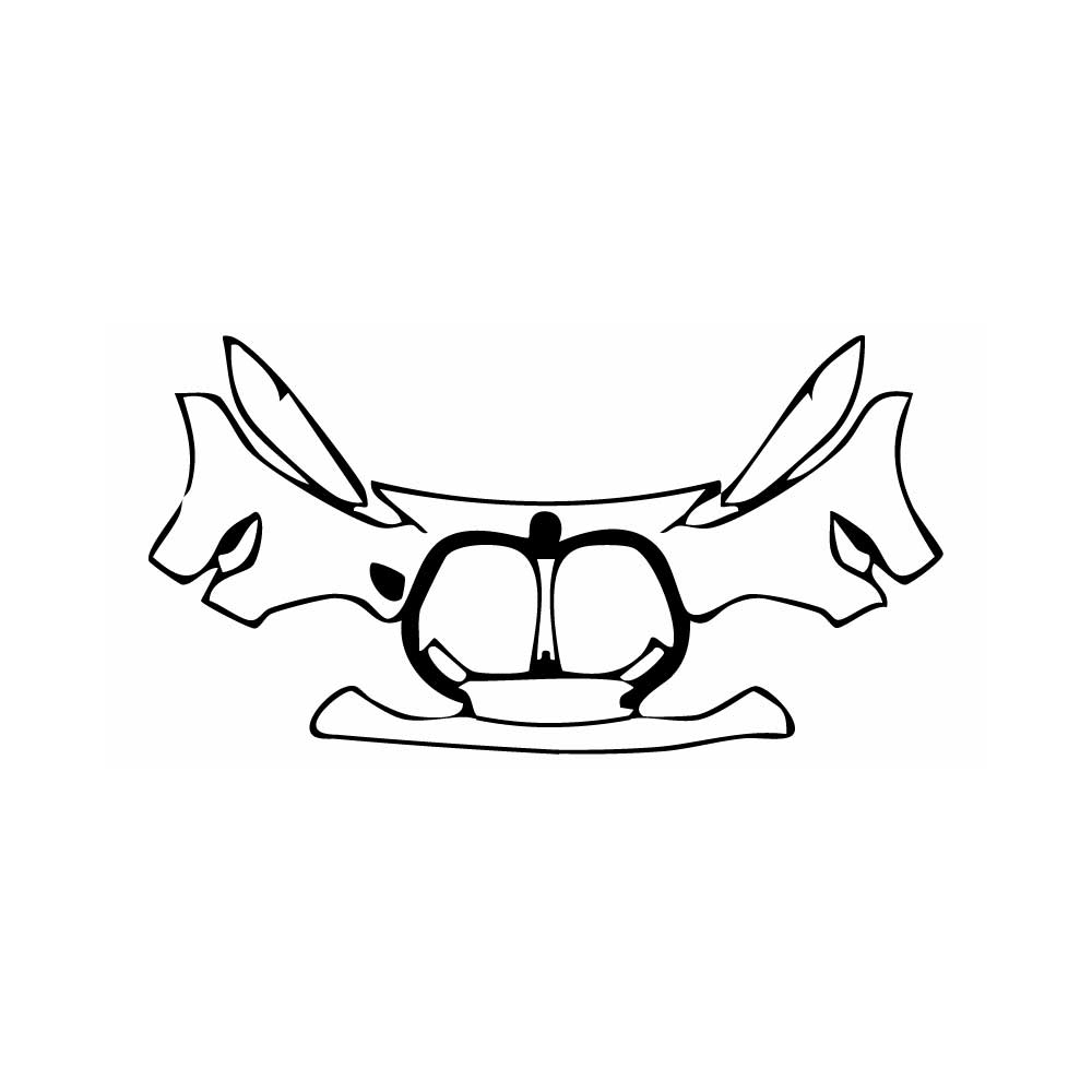 PPF prédécoupé BMW 4 Series Coupe Luxury Line 2025