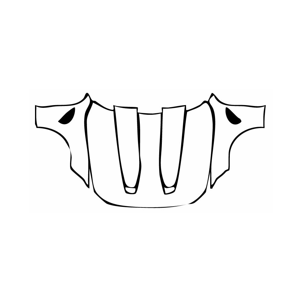 PPF prédécoupé BMW 4 Series Coupe M4 CS 2025