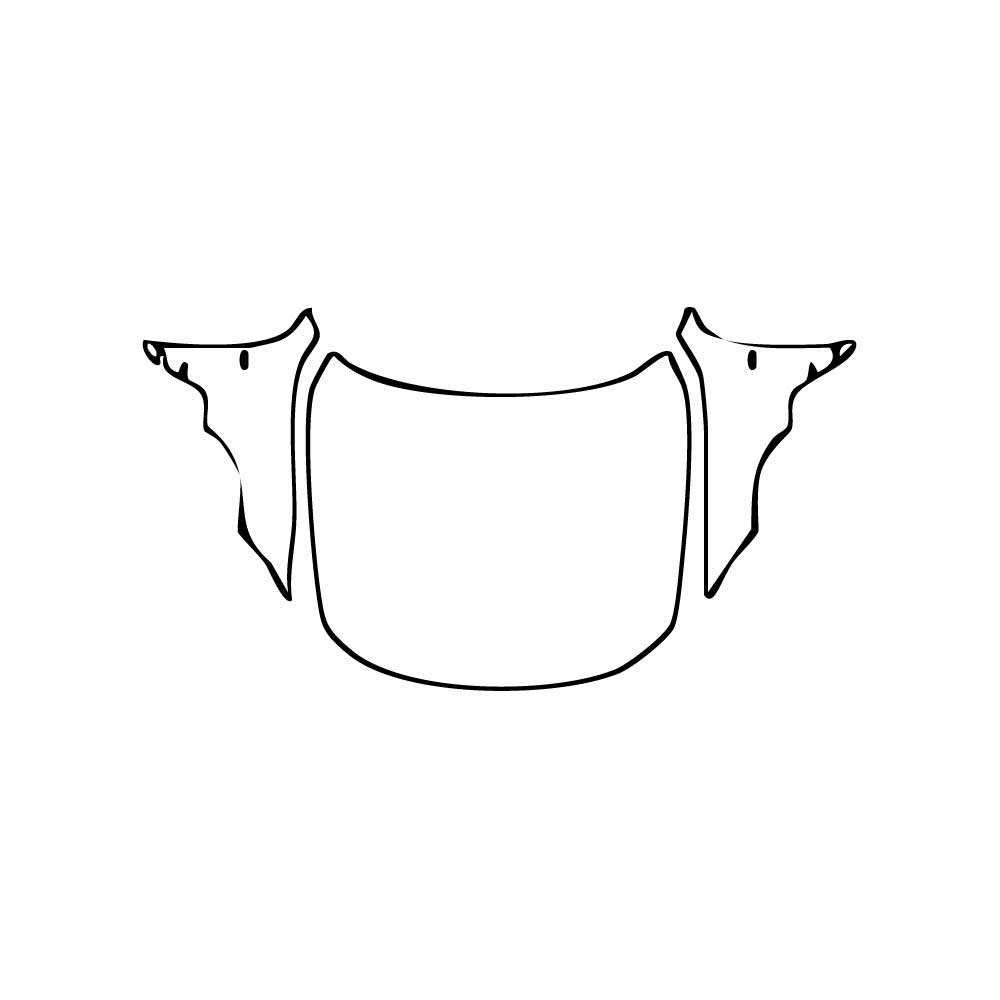 PPF prédécoupé BMW 4 Series Gran Coupe M Sport 2025