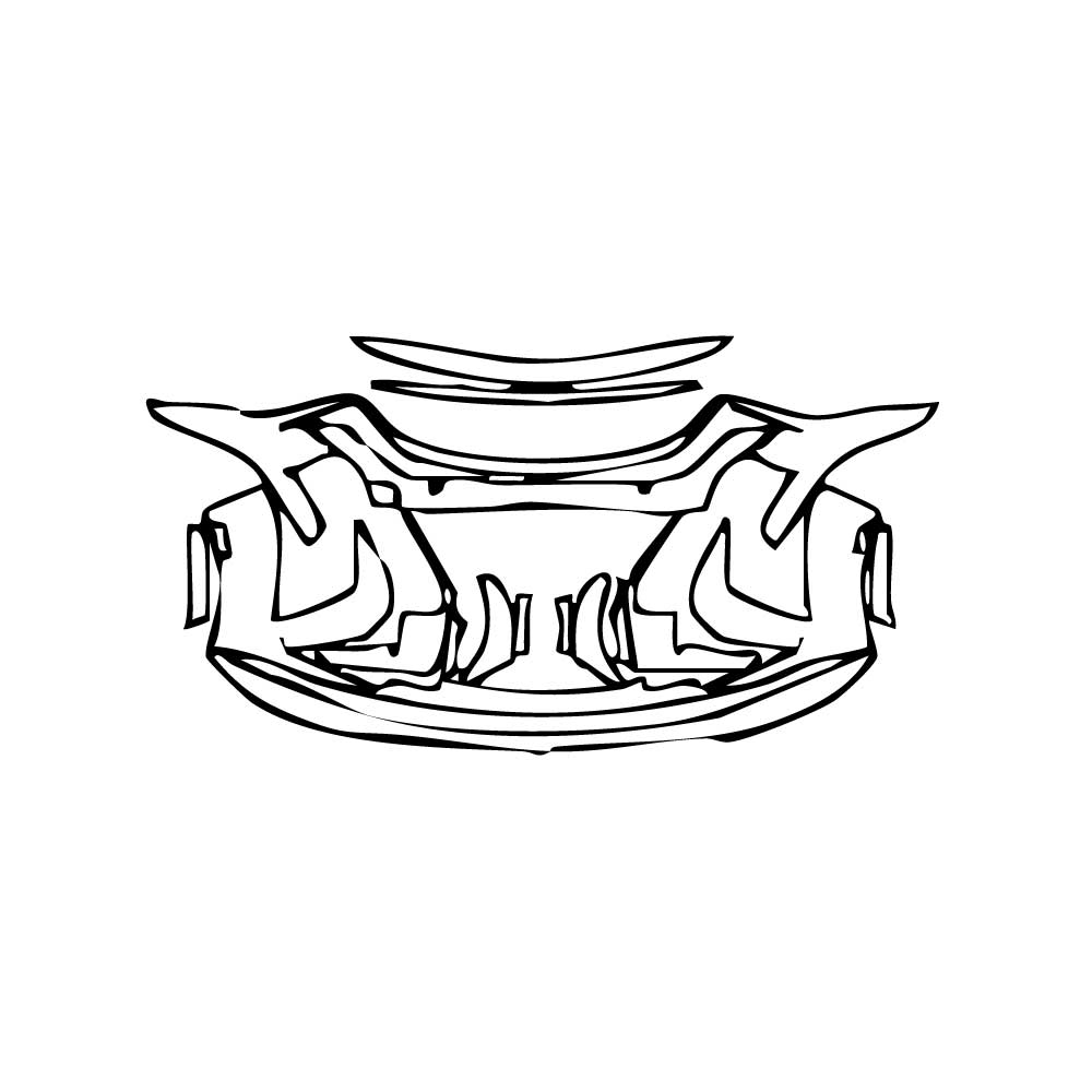 PPF prédécoupé Cadillac CT5 V-Series Blakwing 2025