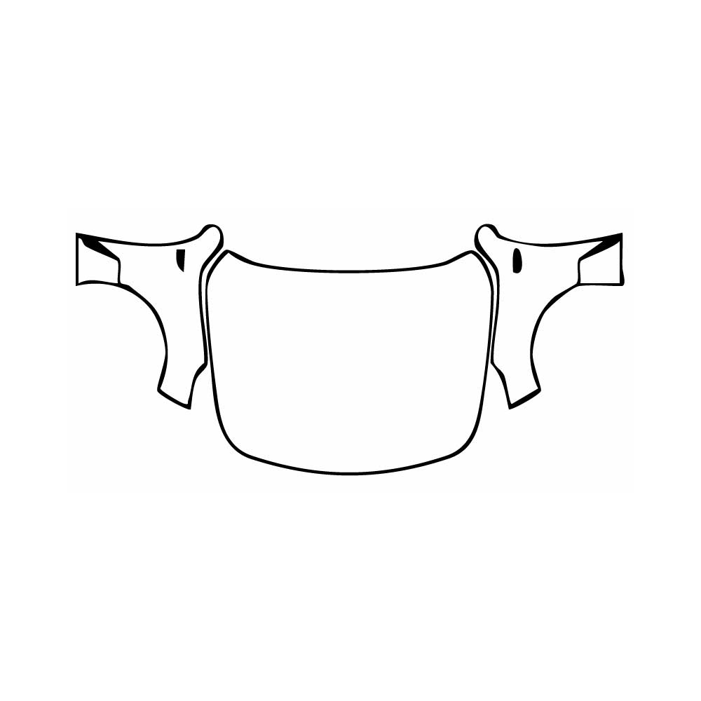 PPF prédécoupé Cadillac CT5 V-Series Blakwing 2025