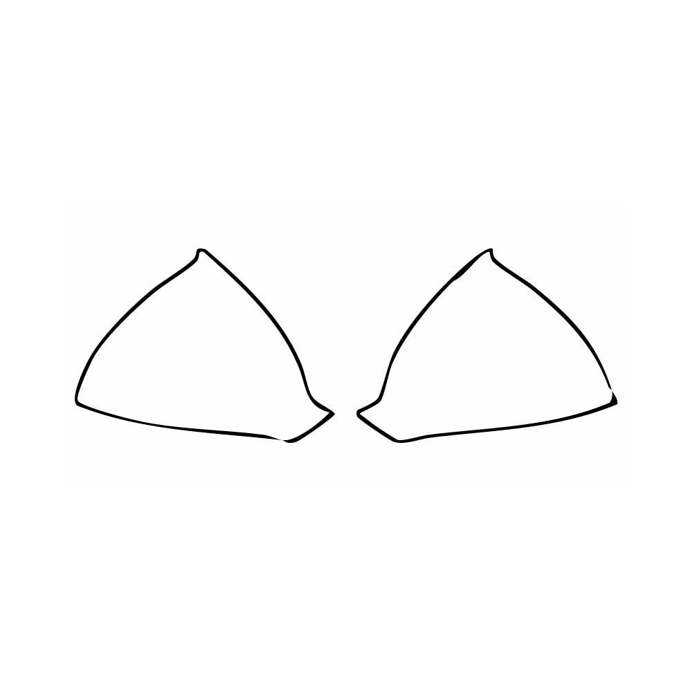 PPF prédécoupé Cupra Formentor 2025