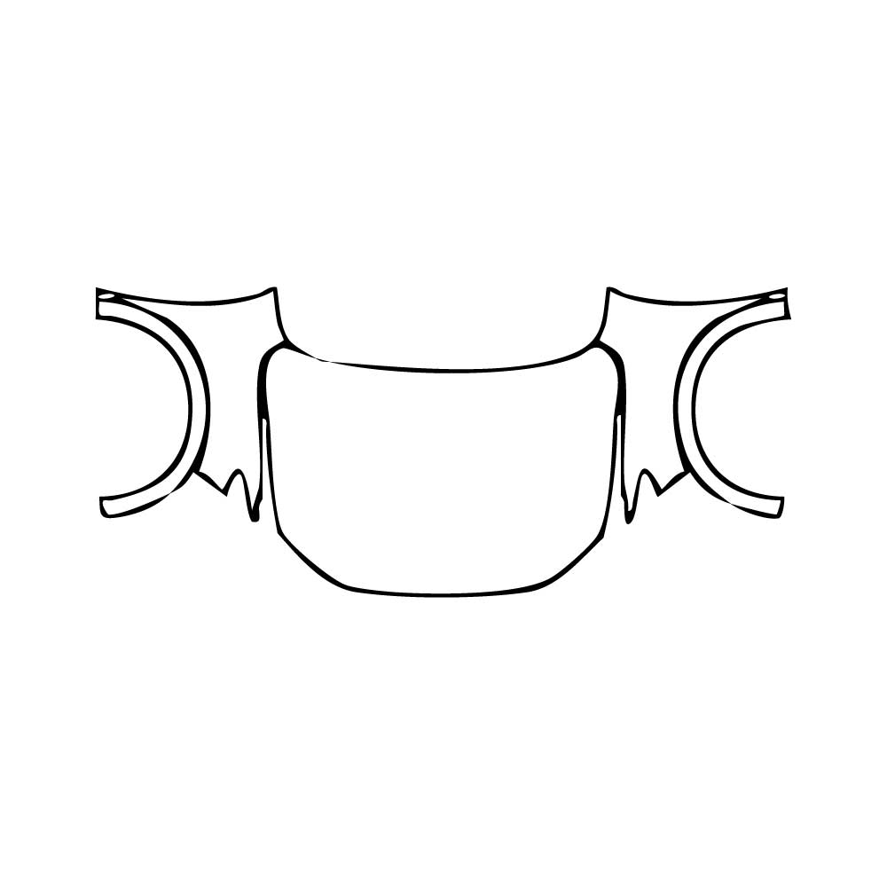 PPF prédécoupé Honda HR-V (US) EX-L 2025