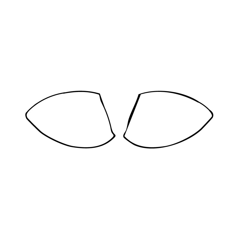 PPF prédécoupé Honda Elevate (IN) ZX 2025